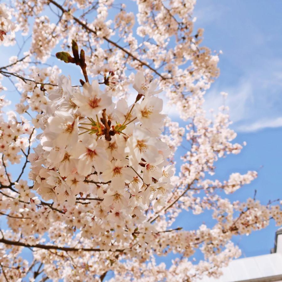Guest House Sanjyotakakura Hibiki Kyoto Ngoại thất bức ảnh